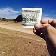 Arbre et billet de cinq nakfa érythréen.