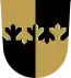 Blason de Varpaisjärvi