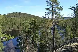 Étang Velakallionlampi.