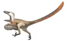 Reconstitution de Velociraptor mongoliensis avec la présence de plumes, basées d'après les récentes études confirmant la découverte des plumes sur les fossiles.