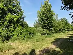 Le puits no&nbsp;10 bis dans son environnement.