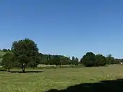 Une cinquantaine de mètres en amont.