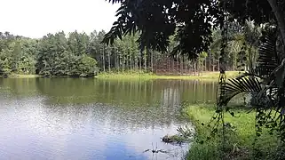 Vue depuis la maison-musée de Polo Montañez.