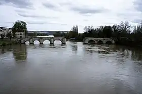 Le Vieux pont de Limay avec l' Ile au Dames à droite.