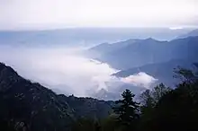 Vue depuis la montagne Alishan.