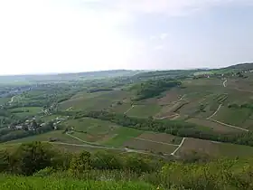 Image illustrative de l’article L'Étoile (AOC)