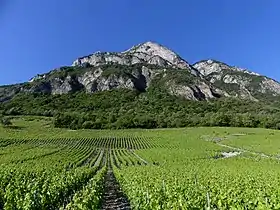 Image illustrative de l’article Chignin-bergeron