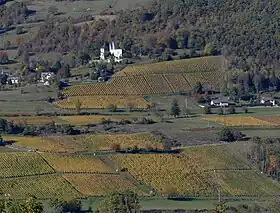 Image illustrative de l’article Cruet (AOC)