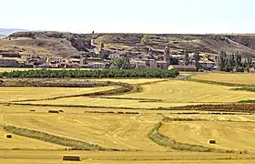 Villarroya del Campo
