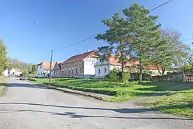 Vinaře
