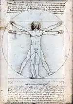 Homme de Vitruve, de Léonard de Vinci.