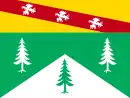 Drapeau : Vosges (département)