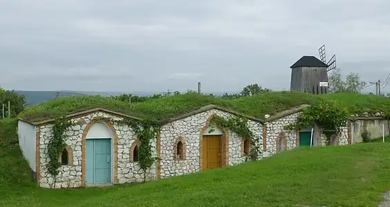 Caves à vin et moulin à vent sur la colline.