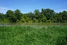 Fleuve Rhône à Grigny.