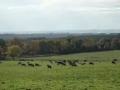 Vue de Puymangou vers La Roche-Chalais