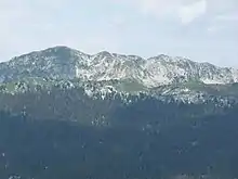 Montagne avec au pied une forêt de résineux