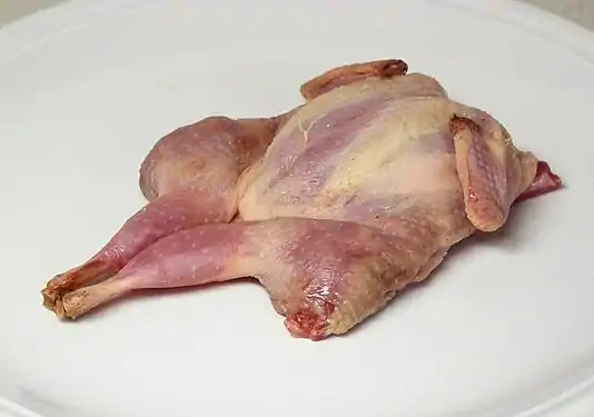 Carcasse de caille crue préparée en crapaudine.