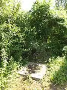 Le puits no&nbsp;1 dans son environnement.