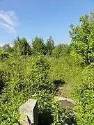 Le puits no&nbsp;2 dans son environnement.