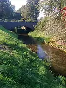 Photographie de la Wełna à Wągrowiec.