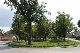 Sieciechów (Mazovie)