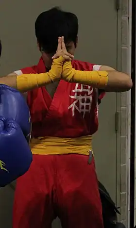 Image illustrative de l’article Guy (Capcom)