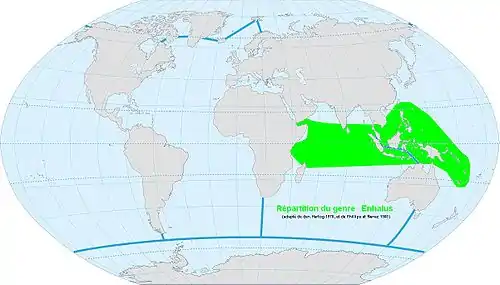 Répartition du genre Enhalus