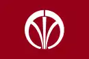 Drapeau de Iizuka-shi