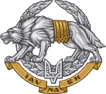 Image illustrative de l’article Forces d'opérations spéciales (Ukraine)