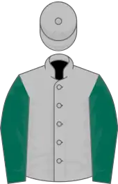 Image illustrative de l’article Attraction (cheval)