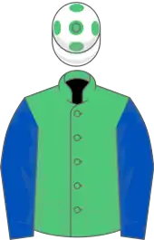 Image illustrative de l’article Storm Bird