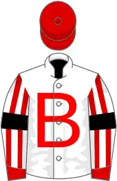 Image illustrative de l’article Ballymoss