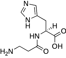 Image illustrative de l’article Carnosine