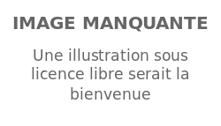 Image illustrative de l’article Vincent Noce