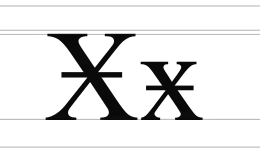 Image illustrative de l’article Ӿ