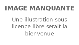 Image illustrative de l’article Sabir Butt