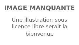 Image illustrative de l’article Dylan Page (basket-ball)