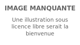 Image illustrative de l’article Catherine Pibarot