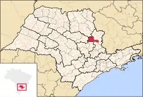 Microrégion de Pirassununga